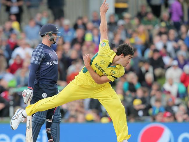 Starc took four wickets against Scotland.