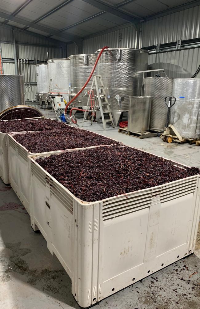 2022 pinot noir ferments at the Karoola winery. Picture: Contributed