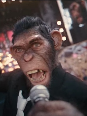 … to chart-topping pop chimp.