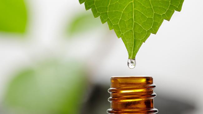 What is Naturopathy?