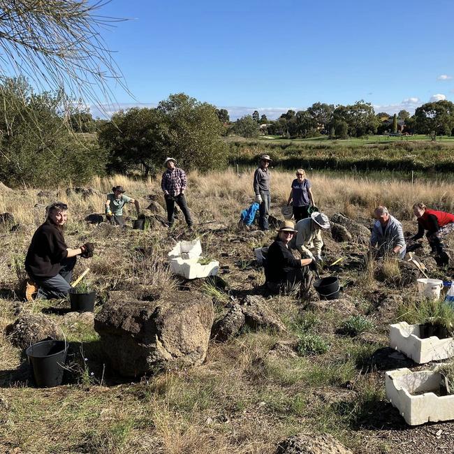 Community group, Friends of Skeleton Creek recently planted 350 plants at Emu Foot Grassland. Picture: Supplied