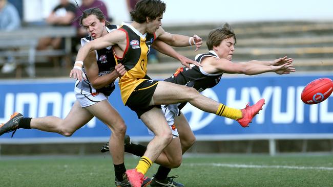 Stingray Toby Bedford puts boot to ball.