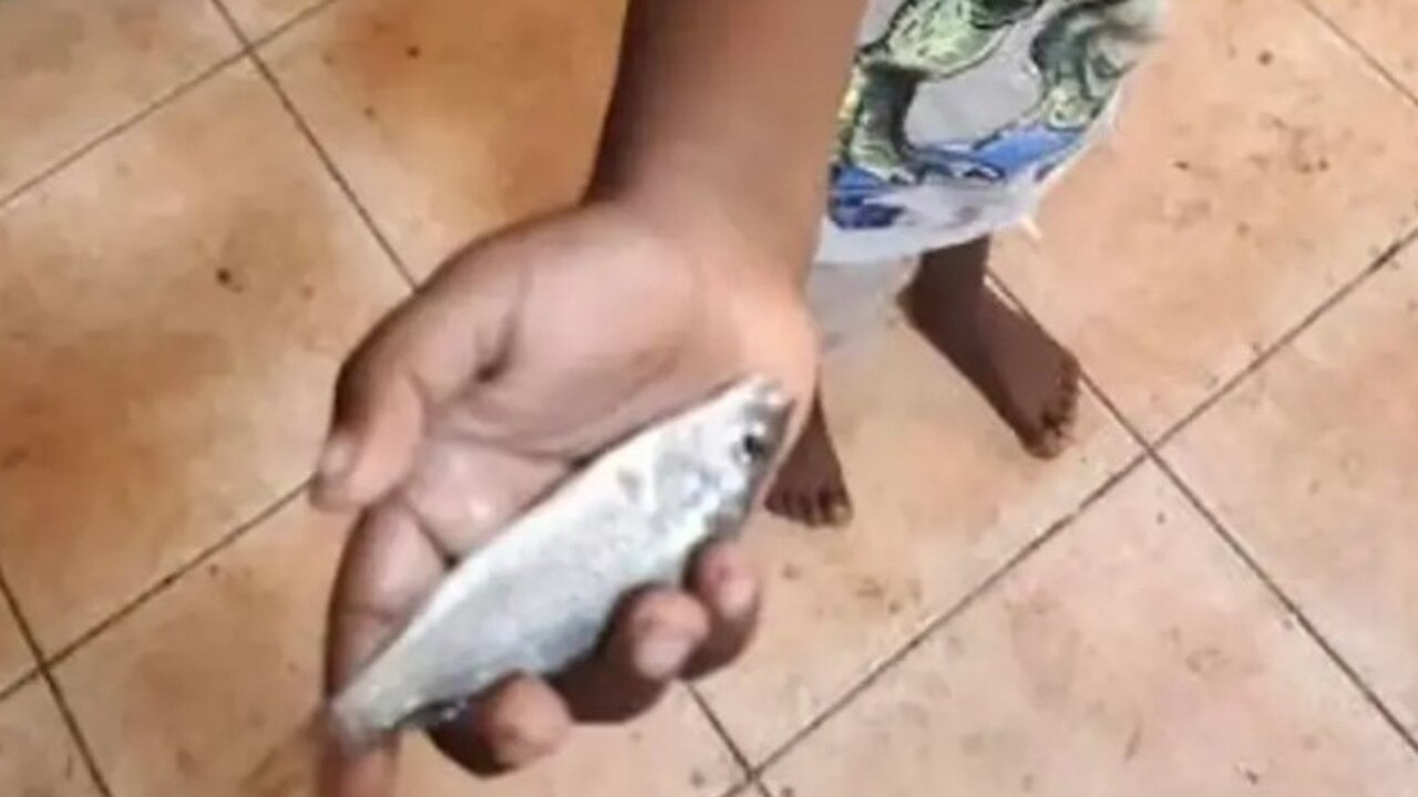 Fish rained from the sky in Lajamanu, a community in the Northern Territory outback. Picture: Facebook