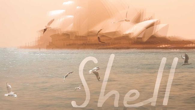 Detail from the cover of Shell, by Kristina Olsson