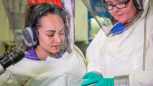 Scientists working in the secure area at CSIRO's ACDP. Picture: CSIRO