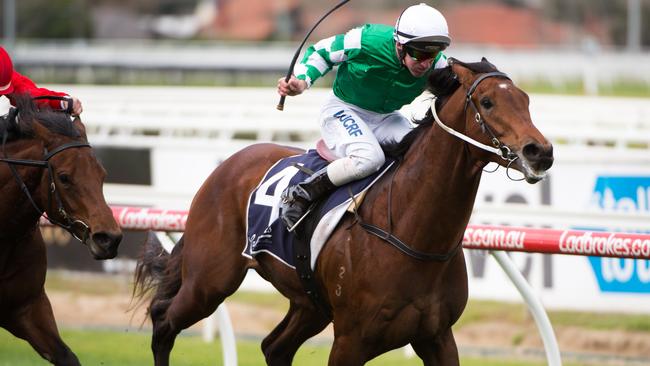 Dale Smith and Yu Long Sheng Hui combine to win the opening race at Caulfield.