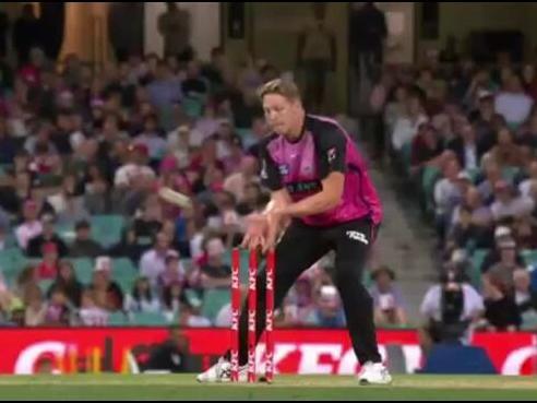 Contentious run out call goes Sixers way in BBL Challenger