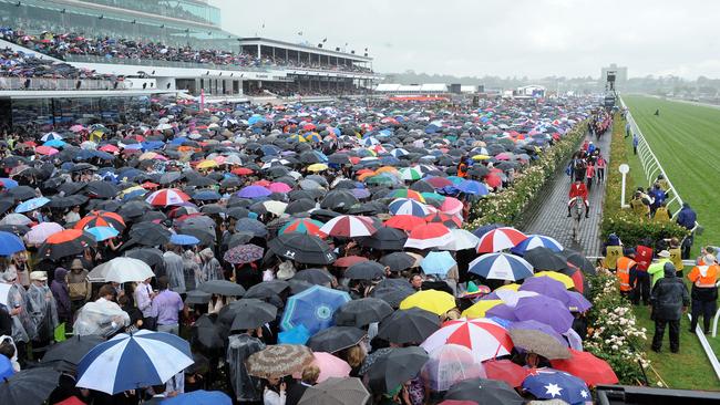 2010 Melbourne Cup. Shocking leads the field out onto the track for the 2010 Emirates Melbourne Cup. Umbrellas. Crowd. Rain. Wet weather.