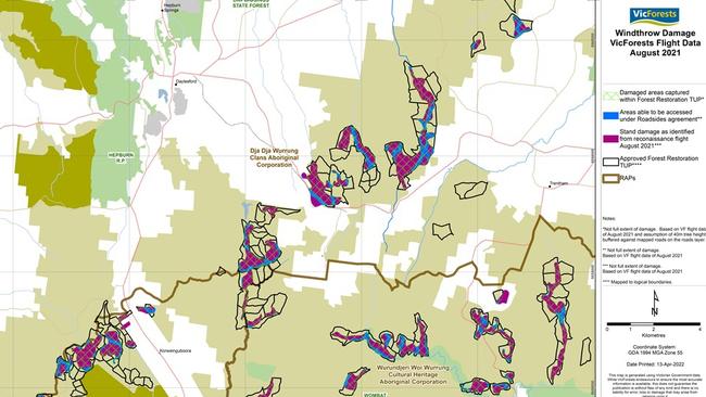 Windthrow damage and VicForests’ timber utilisation plan in the Wombat State Forest. Source: VicForests