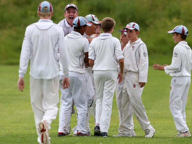 Conner Colbran celebrating a wicket during the under 15 Div 2 Junior cricket grand final between Cobbitty Narellan (batting) v Collegians at Stromferry Oval, St Andrews. Picture: Jonathan Ng