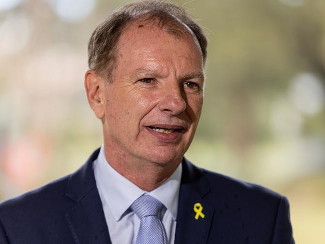 Victorian Shadow Minister for Police David Southwick called for the state’s machete ban to be fast-tracked. Picture: NewsWire