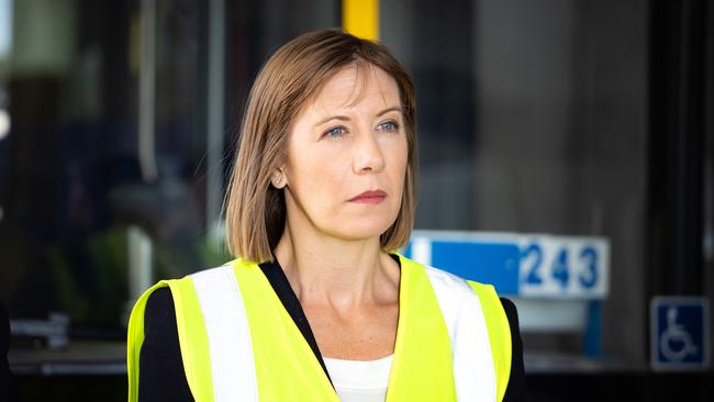 Minister for Transport Jo Haylen. Photo: Tom Parrish