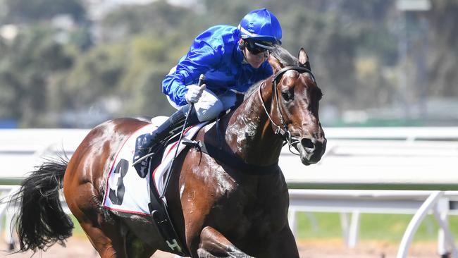 Traffic Warden ridden by Jamie Kah wins the MSS Security Sires' Produce Stakes at Flemington Racecourse on March 09, 2024 in Flemington, Australia. (Photo by Pat Scala/Racing Photos via Getty Images)