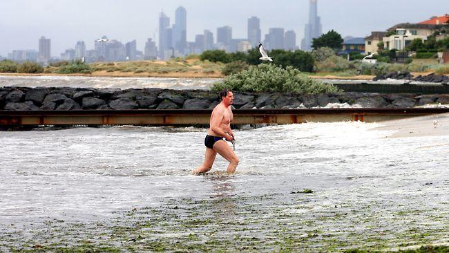 Ted Baillieu emerges from a morning swim with the Brighton Icebergers yesterday. Picture: Aaron Francis