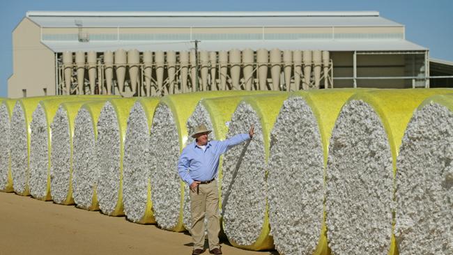 New venture: Auscott's cotton gin at Hay in the NSW Riverina.