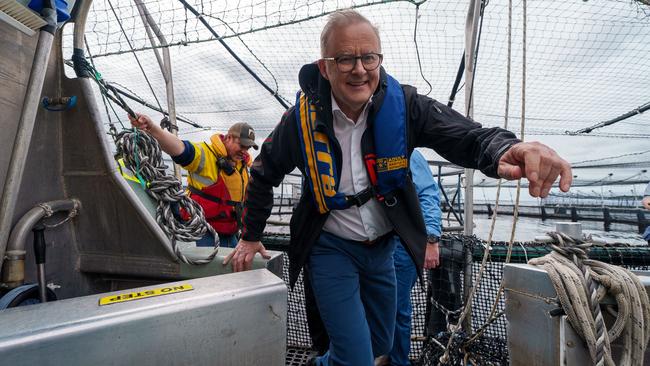 STRAHAN, TASMANIA, AUSTRALIA – NewsWire Photos – 14 DECEMBER, 2024: The Australian Prime Minister Anthony Albanese visits the Tassal salmon pens in Strahan, Tasmania. Picture: POOL / NewsWire