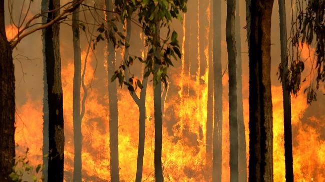 Emergency Services Commissioner Andrew Crisp said firefighters had battled 700 grass and shrub fires in Victoria in the past month. Picture: AFP