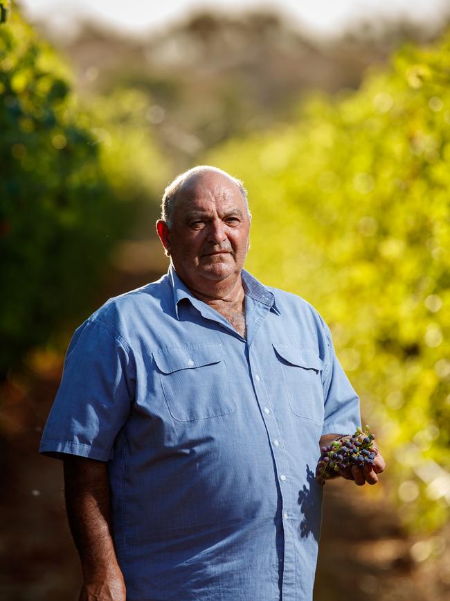 Jack Papageorgieou is a grape grower in the Riverland. His business is suffering due to the Chinese tariffs on Australian wine. Picture Matt Turner.