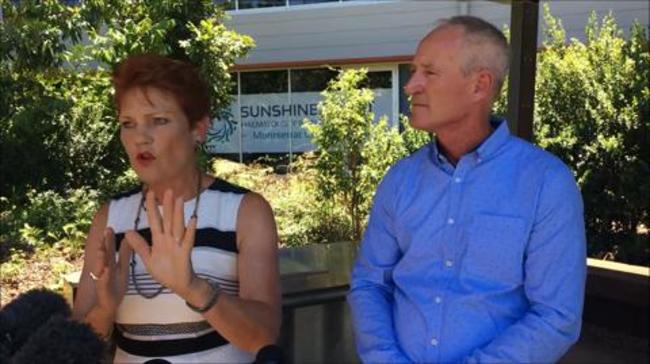 Pauline Hanson: Time to punish politicians who rort the claims