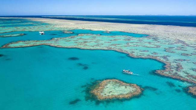 Aerial view of Heart Reef in the Whitsundays. Picture: Brooke Miles