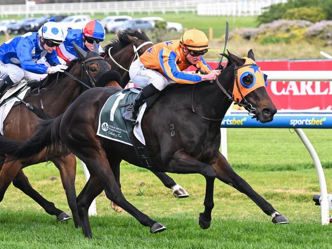 Quintessa (NZ) ridden by Daniel Stackhouse wins the Tobin Brothers Cockram Stakes at Caulfield Racecourse on August 31, 2024 in Caulfield, Australia. (Photo by Reg Ryan/Racing Photos via Getty Images)