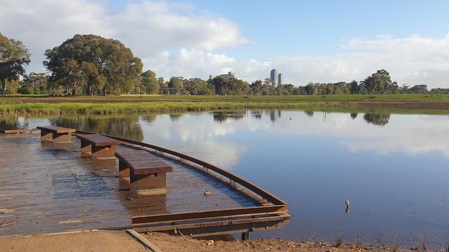 AFTER: The Victoria Park wetlands on June 1. Picture: Colin James