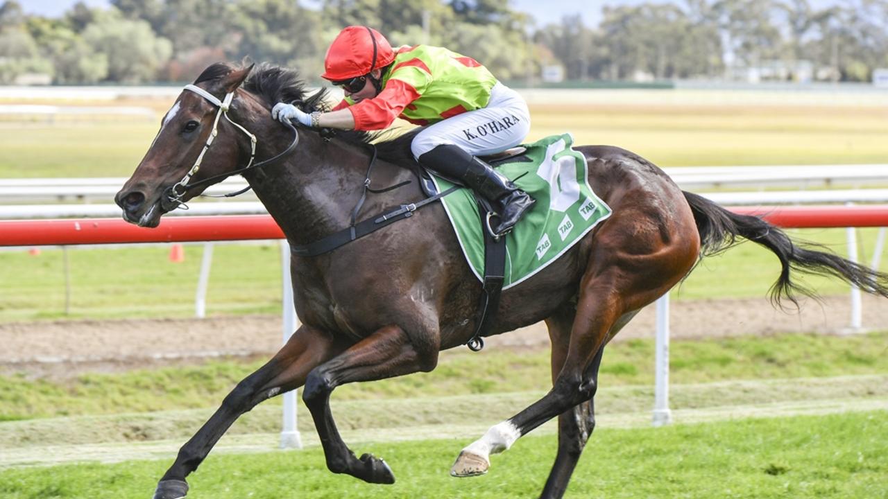 Hawkesbury, Orange previews: Croft’s Lady to strike Gold