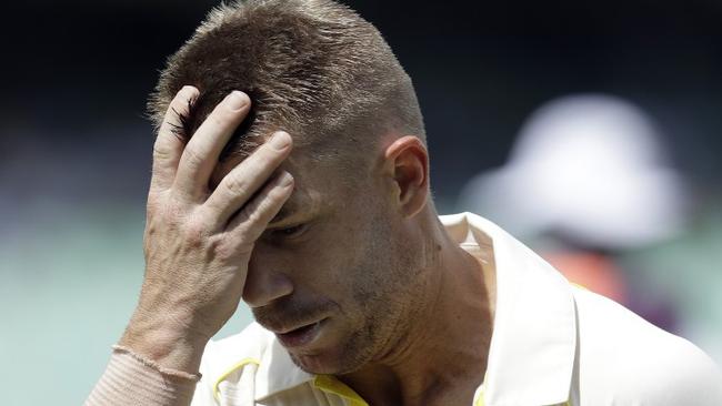 David Warner has been hit with a one-year ban.