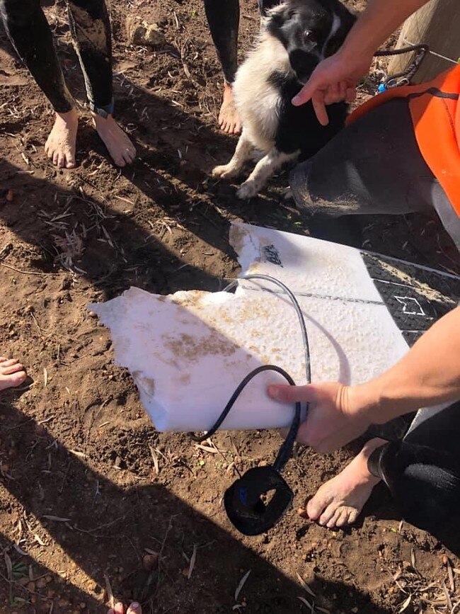 Phil Mummert’s eaten board. Source: Mish Wright/Facebook