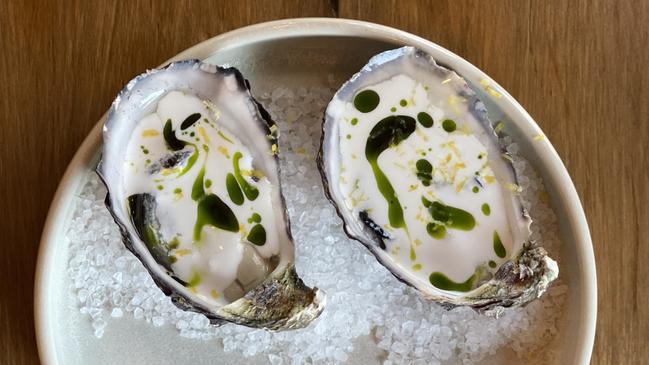 Oysters at The Little Rickshaw. Picture: Jessica Galletly