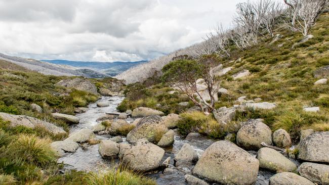 Kirsty Rourke will trek the Kosciuszko National Park as part of the 10 Peaks Challenge.