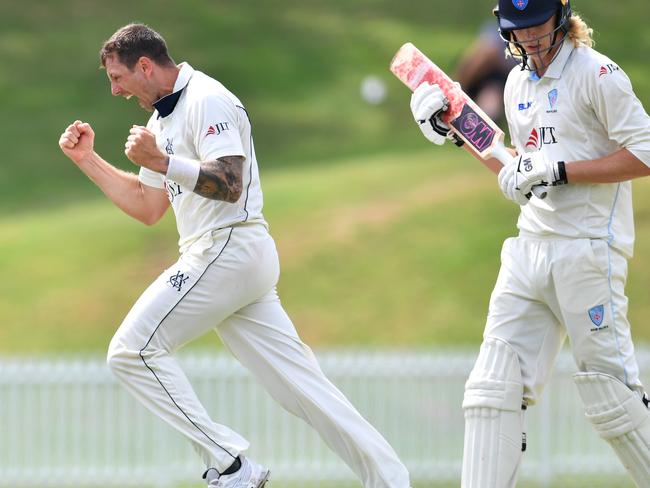 Victoria's James Pattinson celebrates taking the wicket of NSW batsman Jack Edwards during their Sheffield Shield clash last week. Picture: AAP