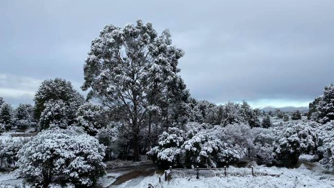 Snow at Waratah, Tasmania on 04/08/2020. Photo: Mathew Robinson