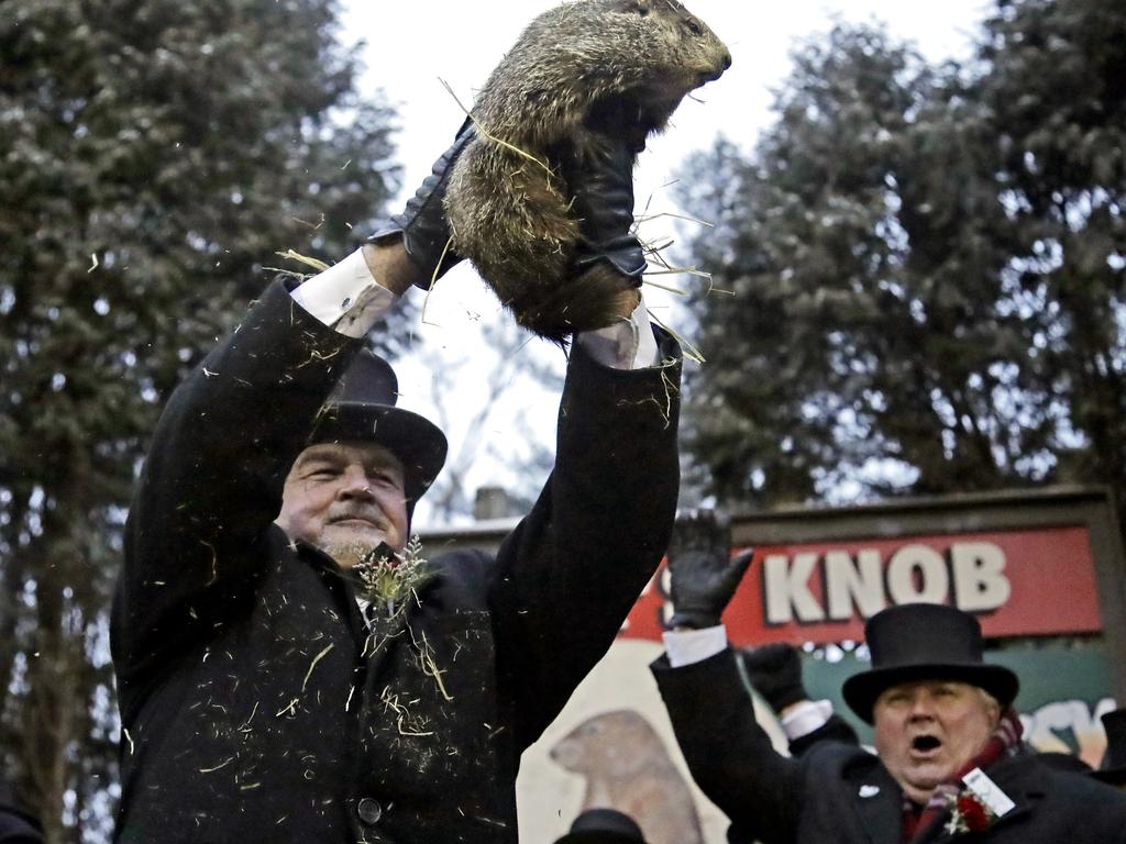 Groundhog Club co-handler John Griffiths, left, holds Punxsutawney Phil, the weather prognosticating groundhog, during the 133rd celebration of Groundhog Day on Gobbler's Knob in Punxsutawney. Picture: AP