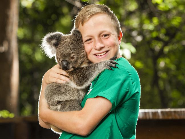 How our Australian wildlife is recovering post-bushfires.Koalas in recovery at Currumbin Wildlife Hospital.11-year-old Finley Kelly with a happy koala.Picture: NIGEL HALLETT