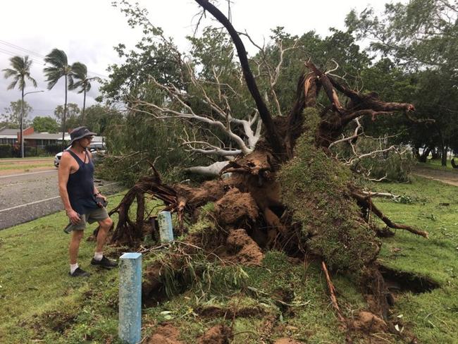 Tropical Cyclone Kirrily 2024: Locals survey the damage the morning after.