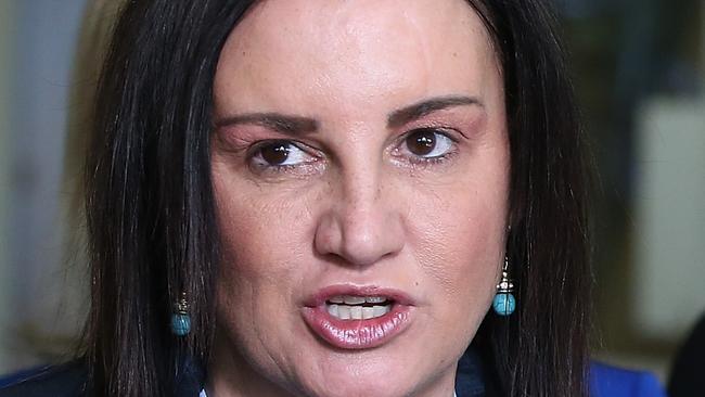 Senator Jacqui Lambie with Senator Nick Xenophon and the Nick Xenophon Team at a press conference at Parliament House in Canberra. Picture Kym Smith