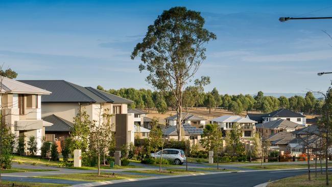 A Harrington Grove streetscape.