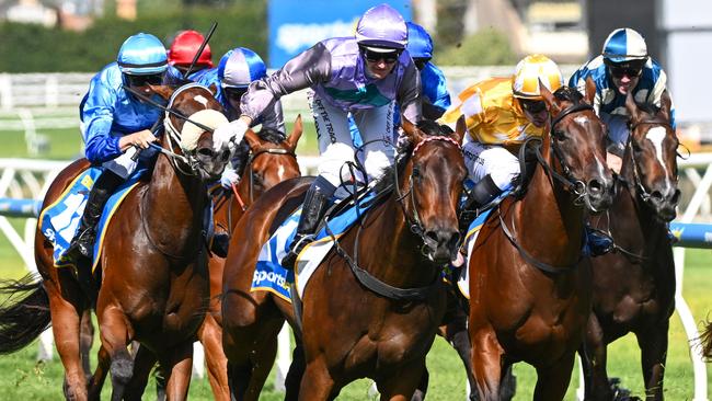 Group 1 Blue Diamond Stakes winner Hayasugi is one of Cranbourne trainer Clinton McDonald’s spring team of sprinters. Picture: Getty Images.