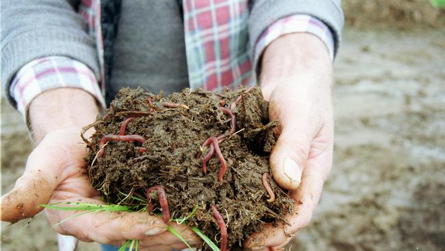 There has been an increase in people inquiring about composting and worm farms.