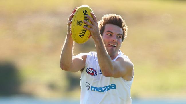Luke McDonald has established himself as a regular member of North Melbourne’s best team.