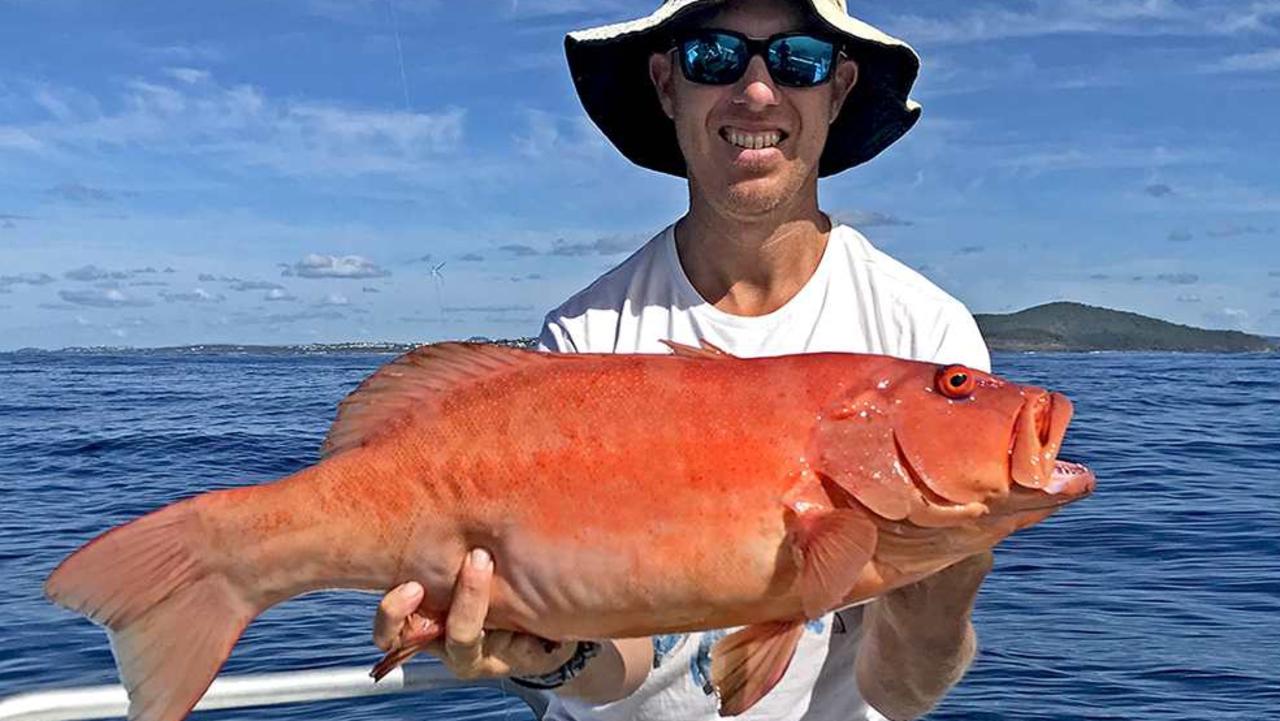 GOTCHA – Geoff Stirzaker won the $100 Davo's Tackle World/ChaseBaits Australia Fish of the Week prize with the quality coral trout he caught at Sunshine Reef. Photo: www.fishingnoosa.com.au