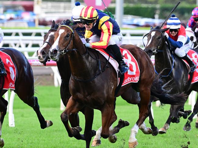 Kyle-Wilson Taylor steers Spicy Martini to victory in the $160,000 Mick Dittman Plate (1000m) on a soft track at Eagle Farm on Saturday, April 26, 2025. Picture: Grant Peters/ Trackside Photography/