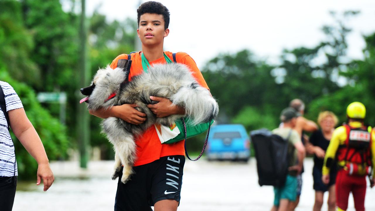Dante Calliste wades through floodwaters with pet dog Kyah in Hermit Park. Picture: Zak Simmonds