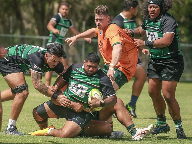 Surfers Paradise Dolphins host Queensland Premier Rugby club Sunnybank at Broadbeach Waters. Picture:Glenn Campbell