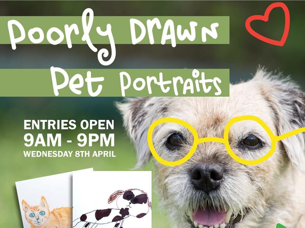 RSPCA QLD staff will be drawing portraits of peoples animals all day for a small $10 donation.