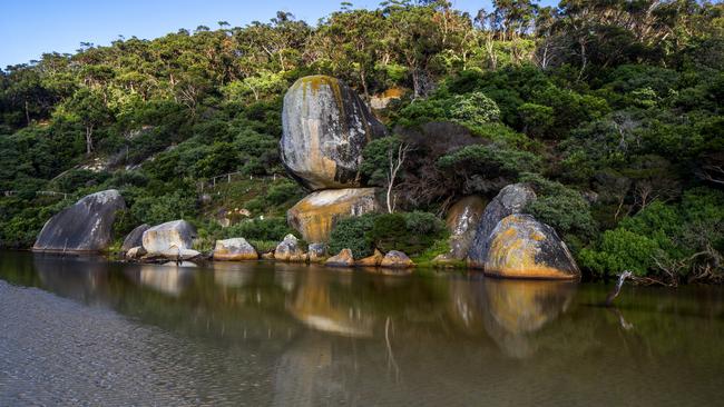 Camping at Tidal River will be free this summer. Picture: Supplied