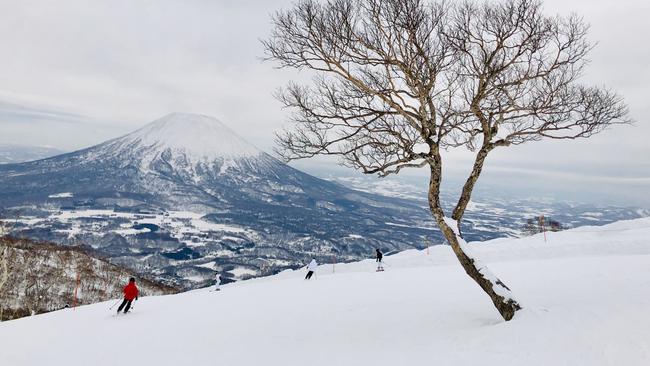 On the ski slopes of Niseko on Hokkaido.