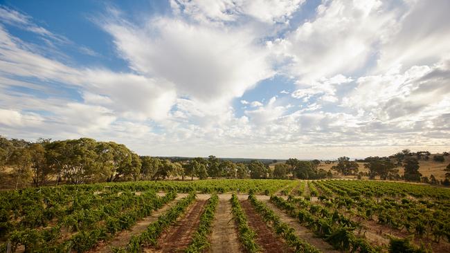 Jasper Hill vineyard put the Heathcote wine region on the map. Picture: Liam Callinane