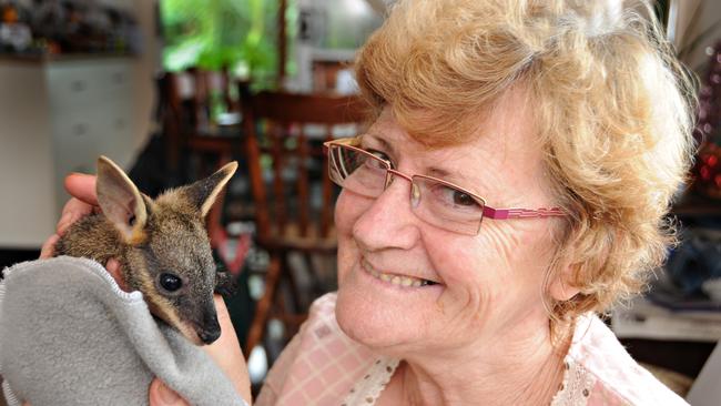 Paula Rowlands from ANARRA Wildlife Rescue says the property boom will be deadly for the region’s wildlife.